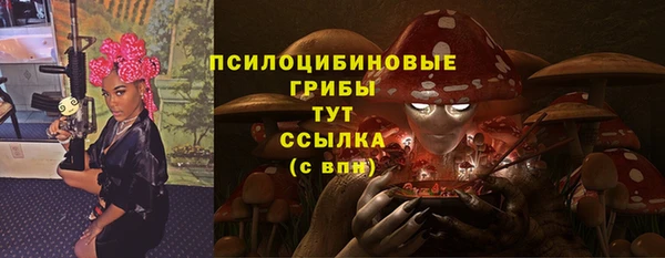стаф Нягань