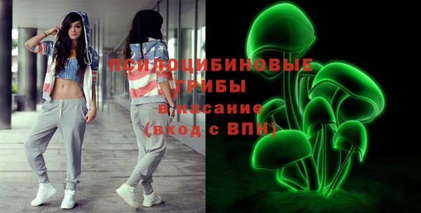 МДПВ Алзамай