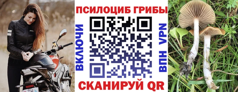 Псилоцибиновые грибы Cubensis  гидра как войти  Пучеж  как найти  